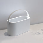 LED Makeup Mirror & Storage Box